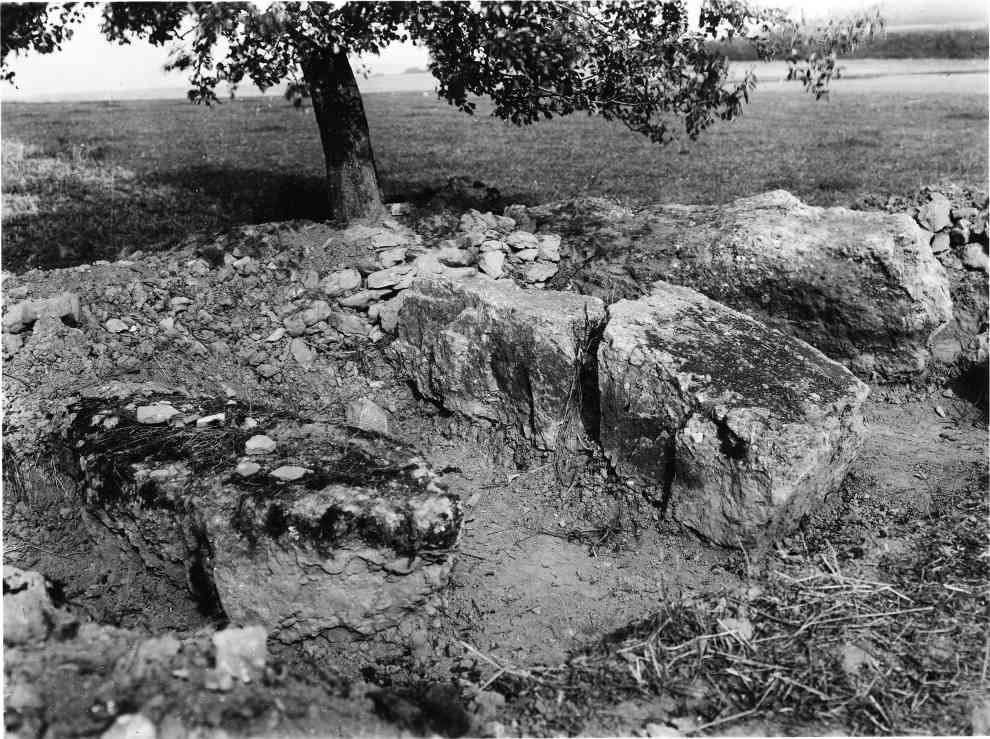 Les trois menhirs d'Oppagne couchés lors des fouilles de 1906.
