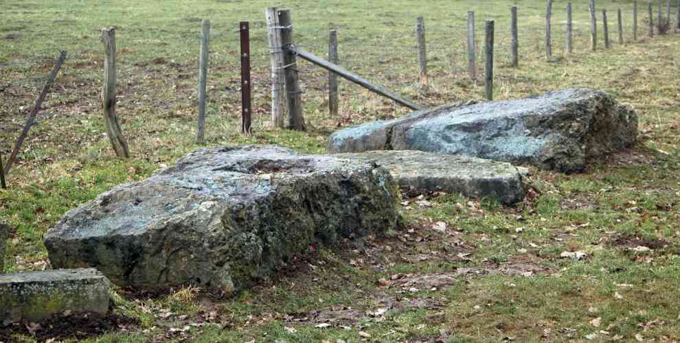 Les deux menhirs non redressés et qui reposent près de Wéris I.